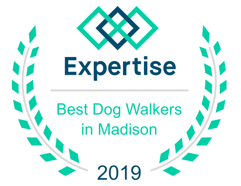 dog walking companies in madison 